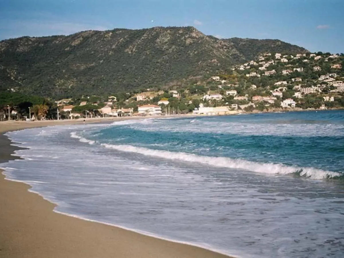 Studio Coin Nuit 4 Pers, Parking, Animaux Admis, Proche Plage - Le Lavandou - Fr-1-251-230